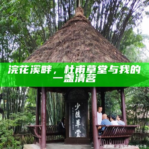 浣花溪畔，杜甫草堂与我的一盏清茗