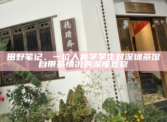 田野笔记，一位人类学学生对深圳茶馆自带茶情况的深度观察