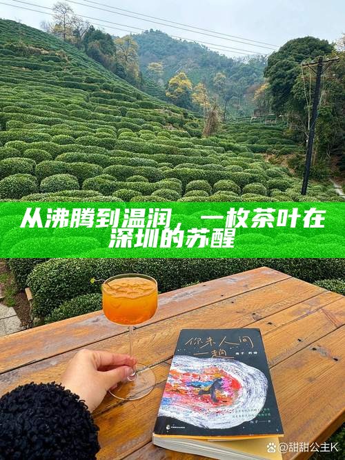 从沸腾到温润，一枚茶叶在深圳的苏醒