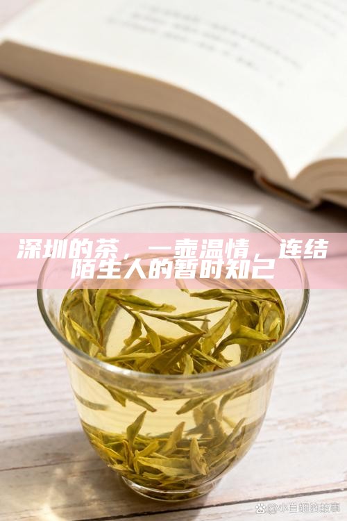 深圳的茶，一壶温情，连结陌生人的暂时知己