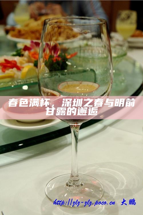 春色满杯，深圳之春与明前甘露的邂逅